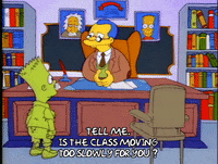 Season 1 GIF by The Simpsons