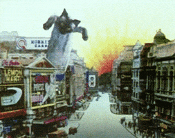 monty python GIF