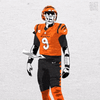 Cincinnati Bengals Football GIF
