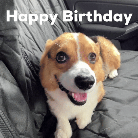 Happy Birthday Dog GIF