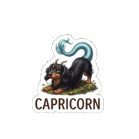 Dachshund Doxie Sticker