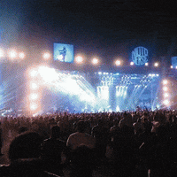 Ridepure Ridermania GIF by Royal Enfield