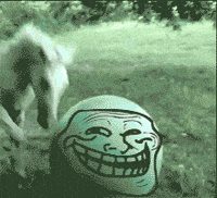 horse GIF