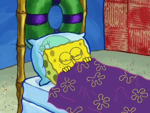 season 6 pet or pets GIF by SpongeBob SquarePants