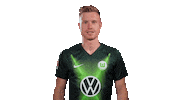 Fail Go Away Sticker by VfL Wolfsburg
