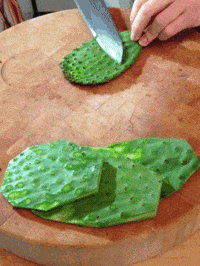 tacos GIF