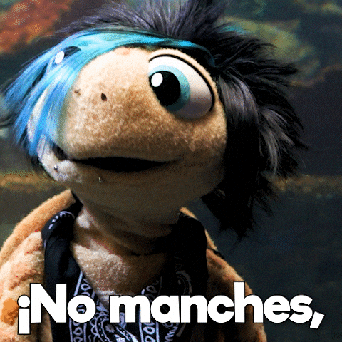 No Way What GIF by Aquarium of the Pacific