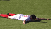 Bundesliga Ksv GIF by Holstein Kiel