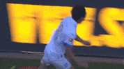 Bundesliga Ksv GIF by Holstein Kiel
