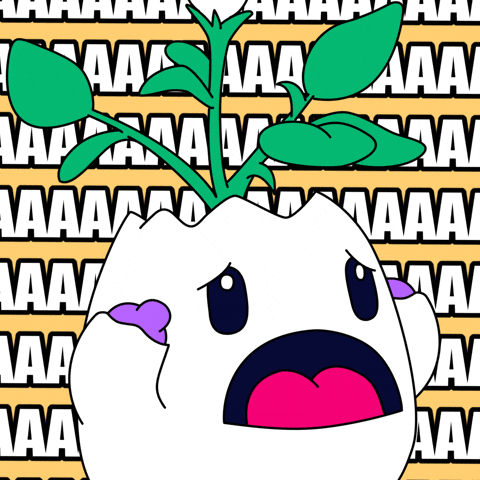 Nervous Oh No GIF by Magic Eden