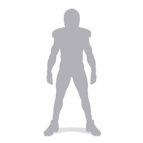 Seattle Seahawks Football GIF by SportsManias