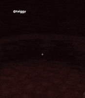 Bed GIF