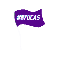 casnyu graduation cas nyu new york university Sticker