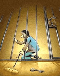 Bread Choosing GIF