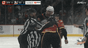 National Hockey League Fighting GIF by San Diego Gulls