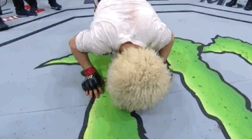 ufc 223 sport GIF by UFC