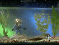 Snuls mdr aquarium belgique bon appetit GIF