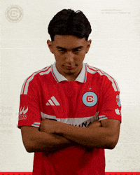 Game Time Smiling GIF by Chicago Fire Football Club