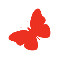 smeadvies dvdd dvdd21 dvddo21 dagvandeduurzaamheid Sticker