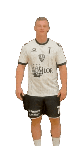 Loser Sticker by TuS04Dansenberg