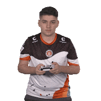 St Pauli Wtf Sticker by Bundesliga