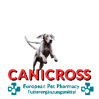 Canicross Sticker by Europeanpetpharmacy