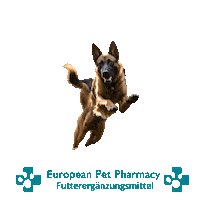 Epp Canicross Sticker by Europeanpetpharmacy