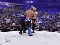 wrestlemania xx win GIF by WWE