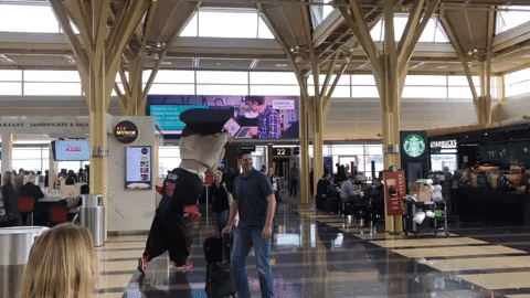 Teddy Roosevelt Travel GIF by Reagan Washington National Airport
