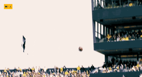 Go Blue Michigan Football GIF by Michigan Athletics