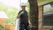 fixer upper GIF