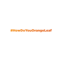 brixholdings orange ol froyo frozen yogurt Sticker