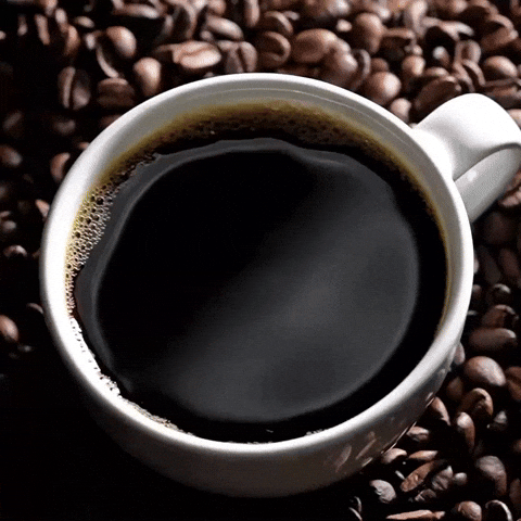 Good Morning Sunshine Coffee Lover GIF by Berk's Beans Coffee