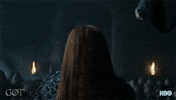 sophie turner finale GIF by Game of Thrones