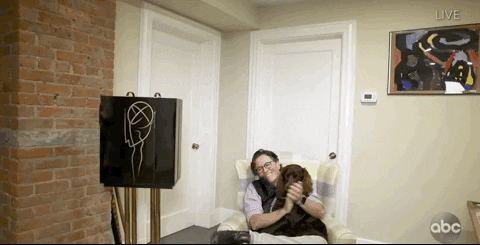Dog Home GIF by Emmys