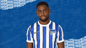 Sorry Bundesliga GIF by Hertha BSC