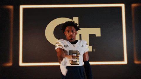 Georgia Tech Football Sport GIF by Georgia Tech Yellow Jackets