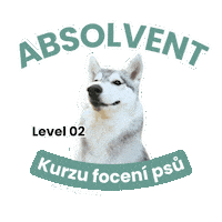 Student Siberianhusky Sticker by mrackova.foto