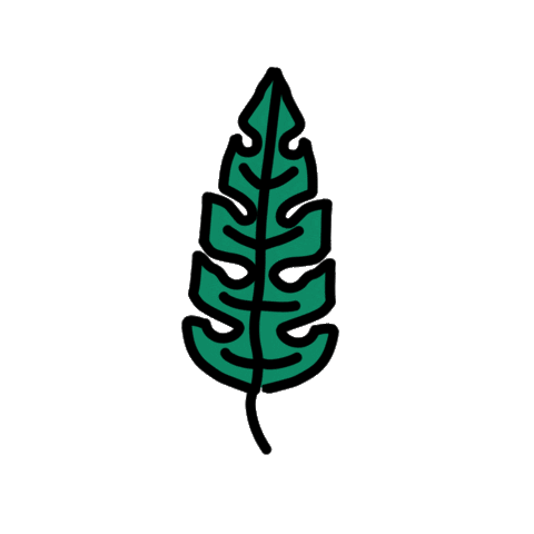 fun summer Sticker by Ivo Adventures