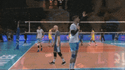 Sorry Argentina GIF by Volleyball World