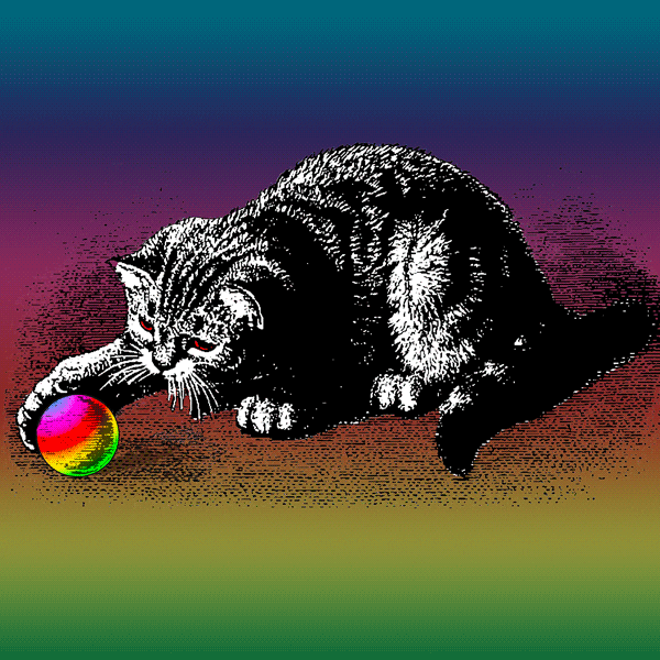 Cat Rolling GIF by RetroCollage