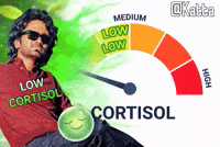 Pr Katta GIF