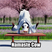 Fitness Yoga GIF by Sagemoohammad