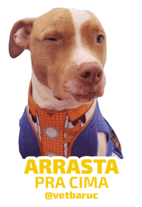 Arrasta Pra Cima Buba Sticker by VetBaruc