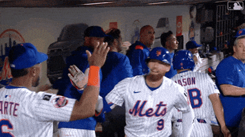 Celebrate Home Run GIF by New York Mets
