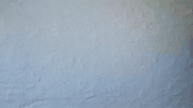 Carry GIF by ECSTATIC