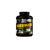 Bossgainz bossgainz migiboss bossgains gochamp Sticker