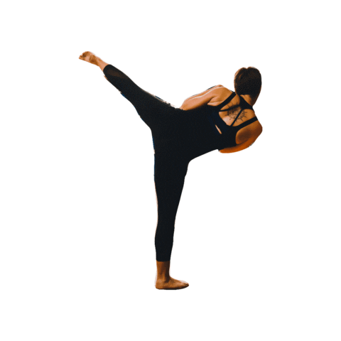 kickfit-jena giphygifmaker fitness kickboxen kickfit Sticker