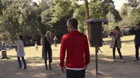 Bird Attack!
