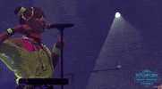 pitchfork music festival GIF by Pitchfork